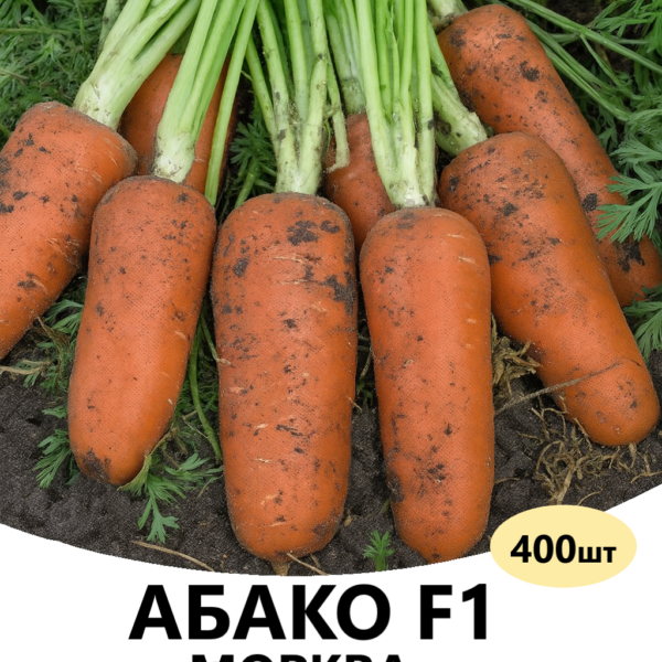 Морква Абако F1 SEMINIS