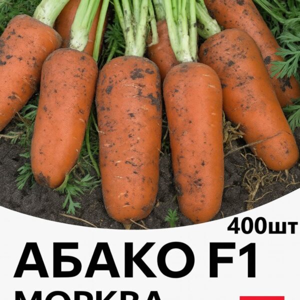 Морква Абако F1 SEMINIS