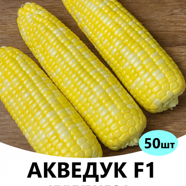 Кукурудза Акведук F1 Spark Seeds – 50шт