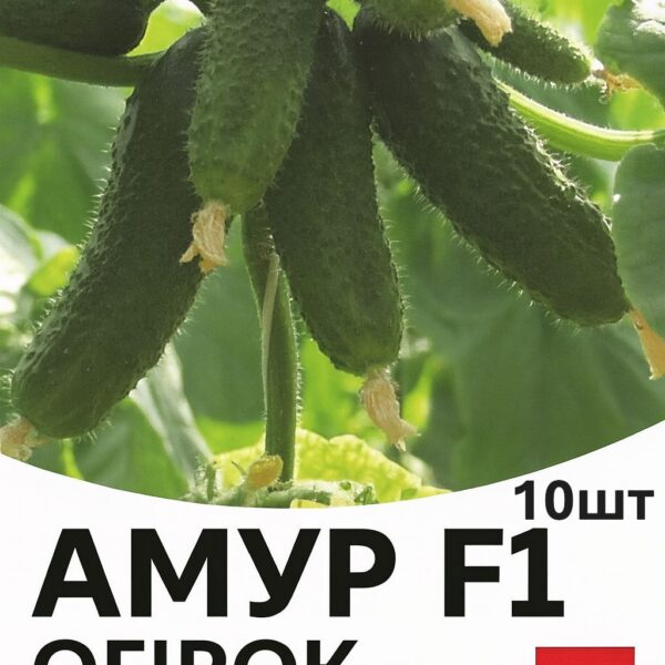 Огірок Амур F1 Bejo