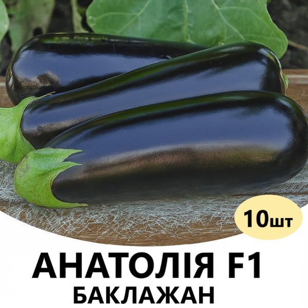 Баклажан Анатолія F1 Rijk Zwaan