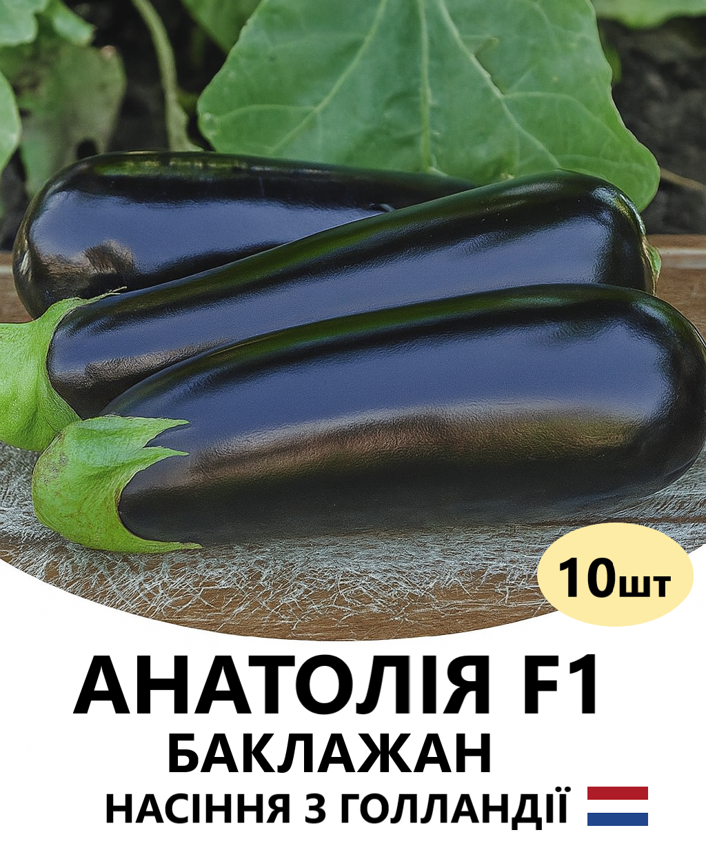 АНАТОЛІЯ 10