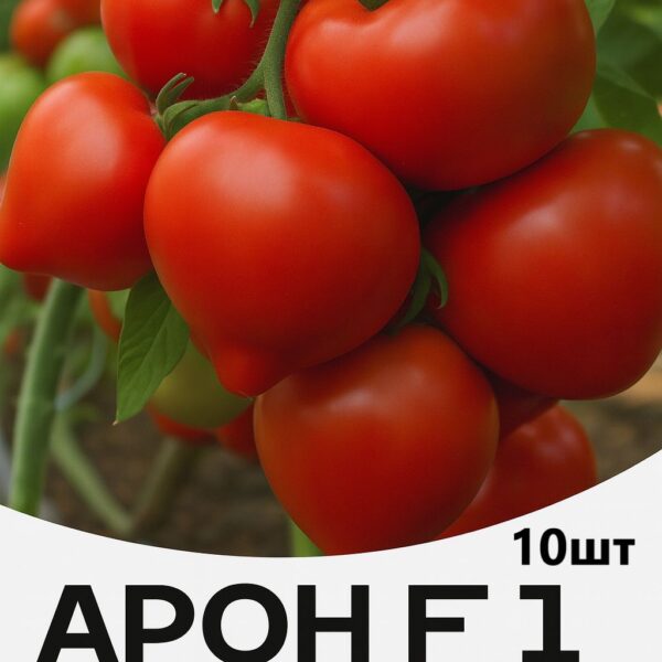 Томат Арон F1 ENZA ZADEN