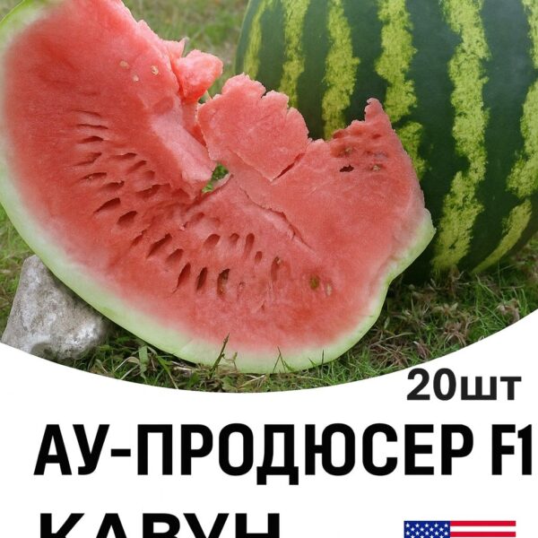 Кавун Ау-Продюсер F1 Spark Seeds