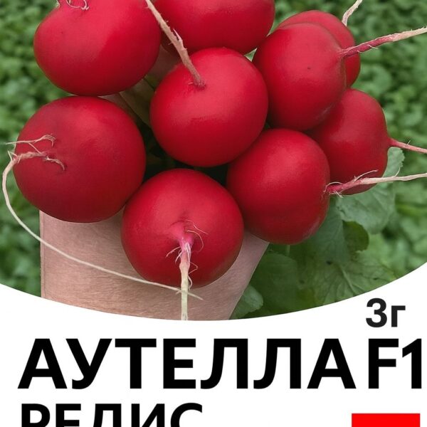 Редис Аутелла F1 Hazera