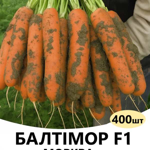 Морква Балтімор F1 Bejo