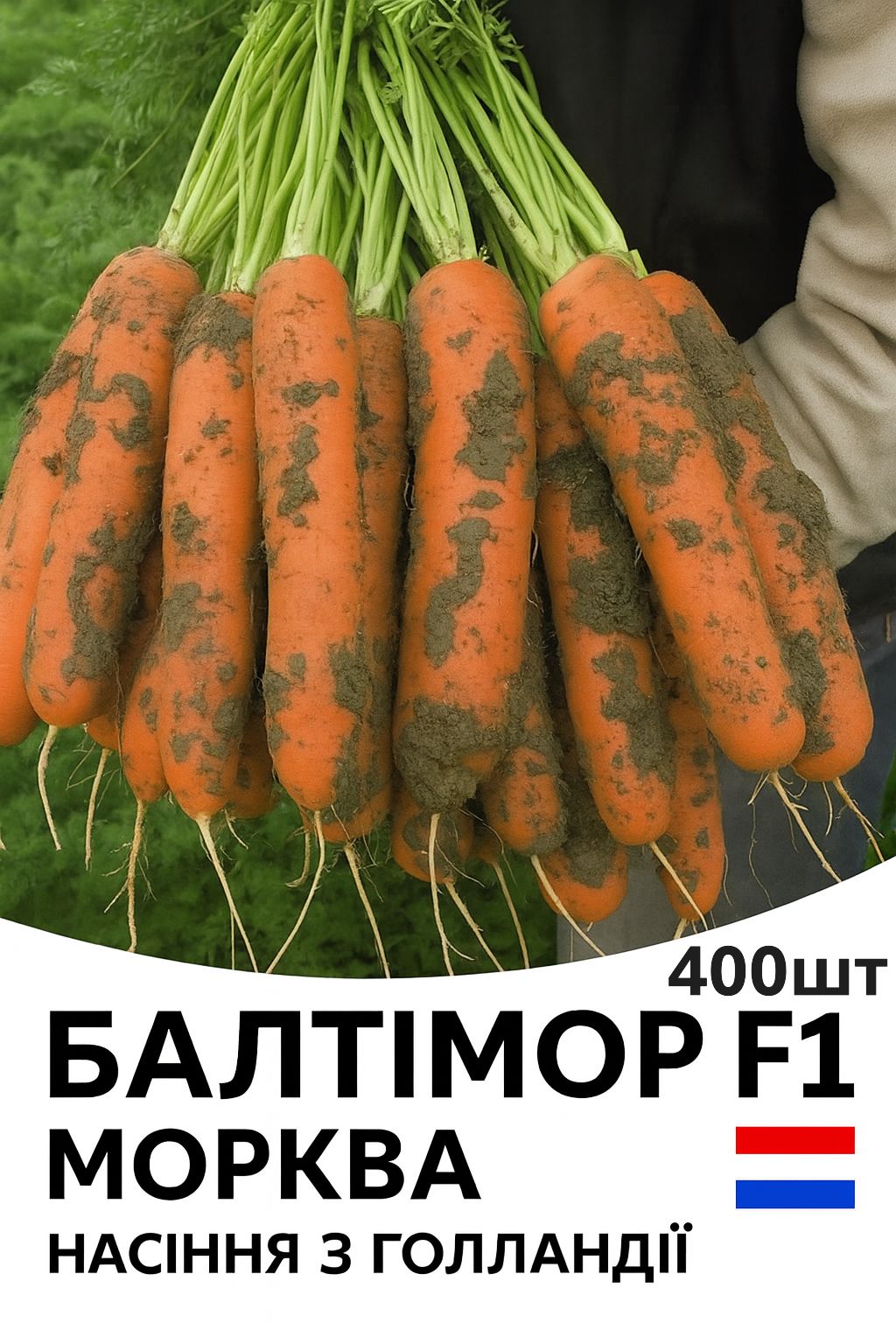 baltimor_400