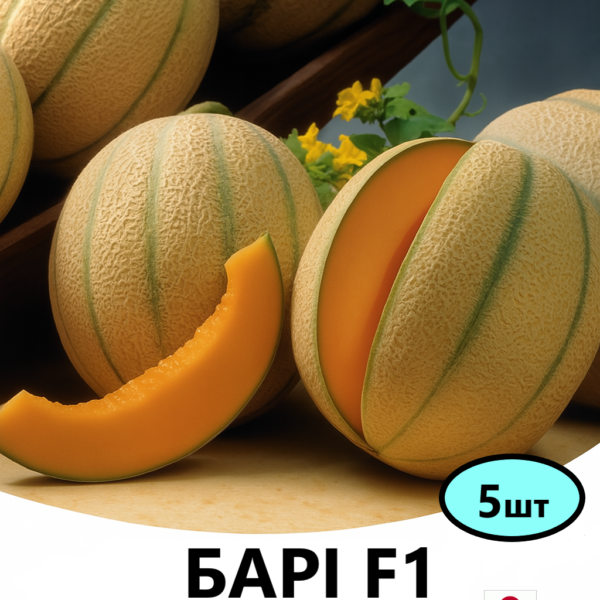 Диня Барі F1 SAKATA