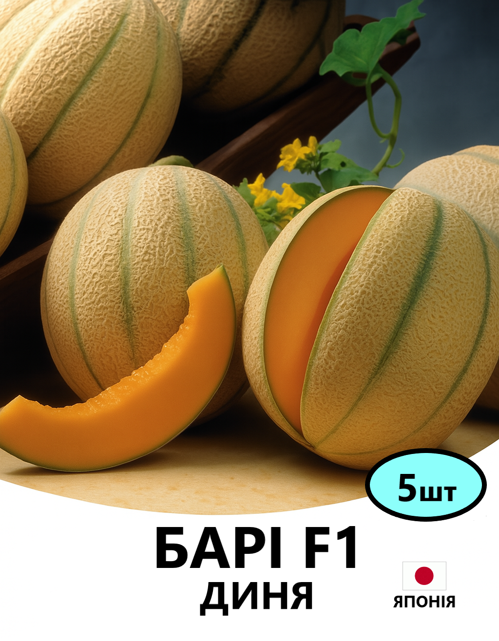БАРІ 5