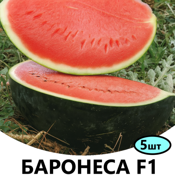 Кавун Баронеса F1 Rijk Zwaan – 5шт