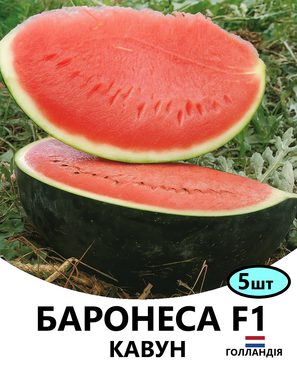 БАРОНЕСА 5
