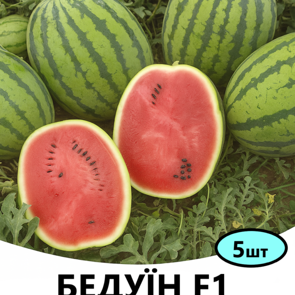 Кавун Бедуїн F1 Bejo