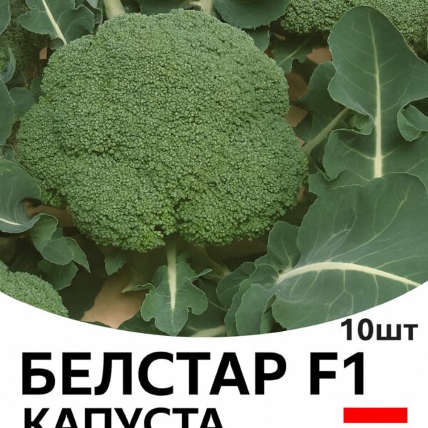 Капуста броколі Белстар F1 Bejo