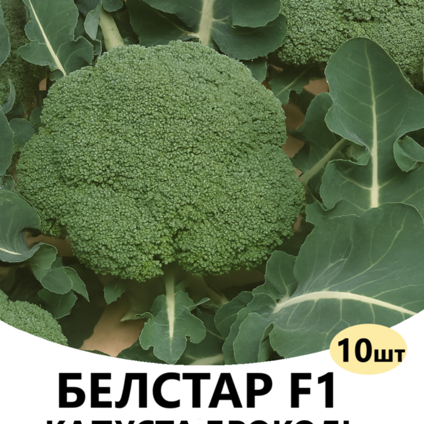 Капуста броколі Белстар F1 Bejo – 10шт