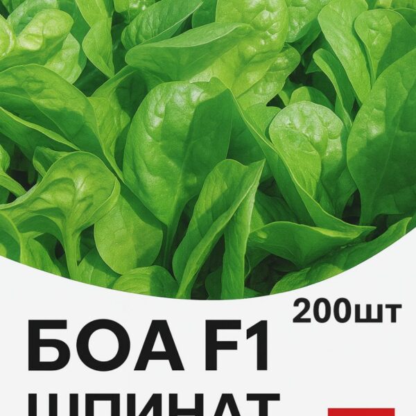 Шпинат Боа F1 Rijk Zwaan