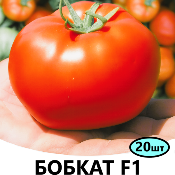 Томат Бобкат F1 Syngenta – 20шт