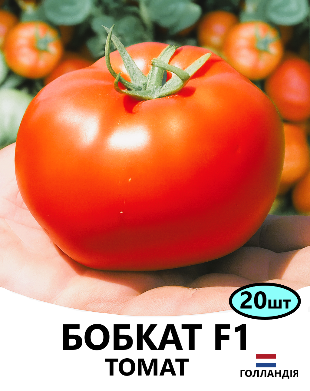 бобкат 20