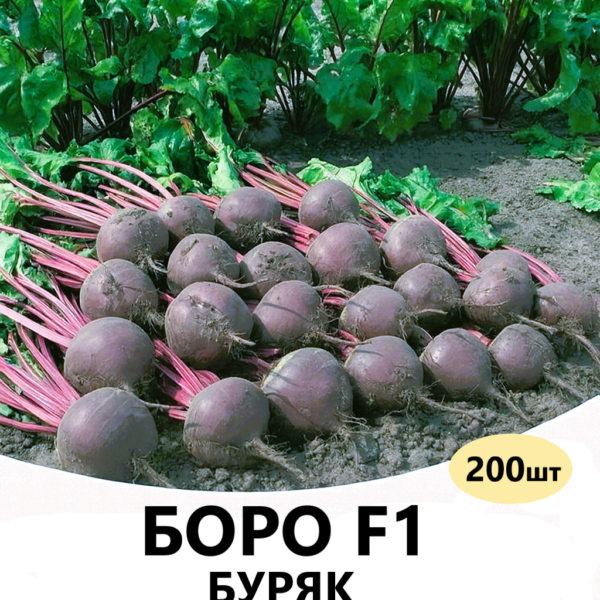 Буряк Боро F1 Bejo