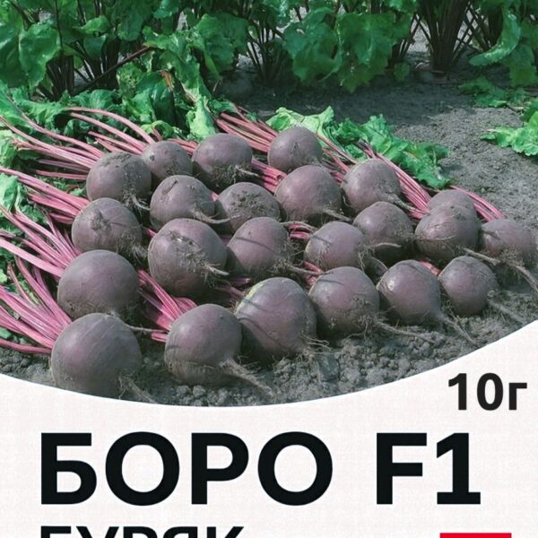 Буряк Боро F1 Bejo