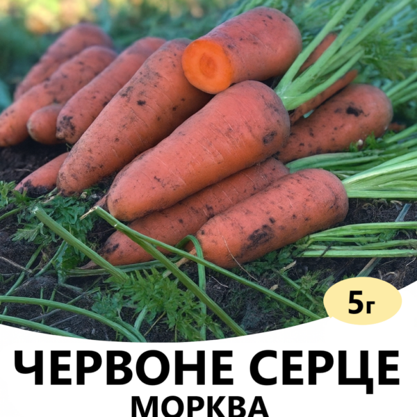Морква Червоне Серце F1 HAZERA – 5г