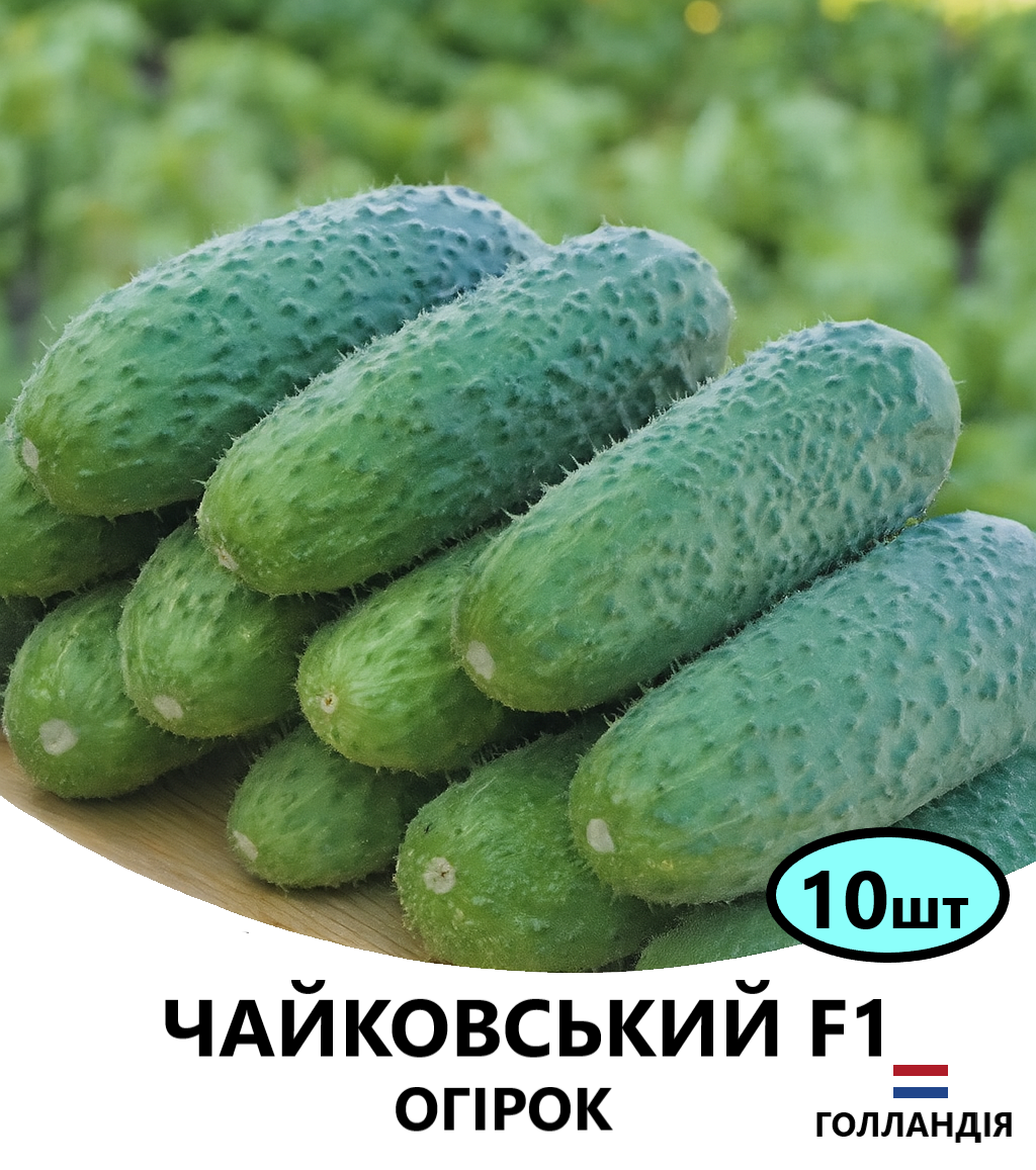 чайковський 10