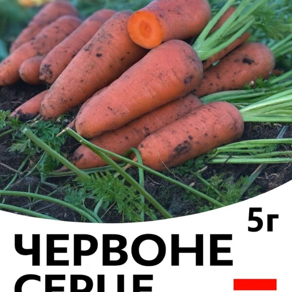 Морква Червоне Серце F1 HAZERA