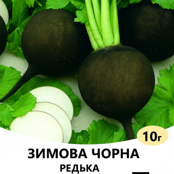 Редька Зимова Чорна F1 Satimex – 10г