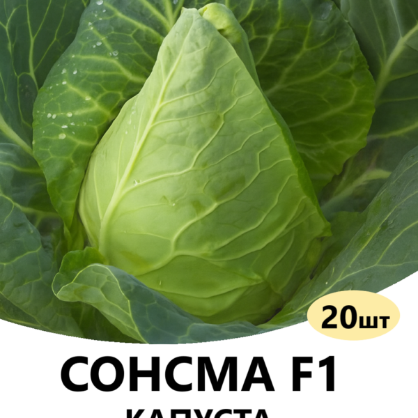 Капуста Сонсма F1 Rijk Zwaan – 20шт