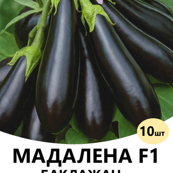 Баклажан Мадалена F1 Hazera – 10шт.