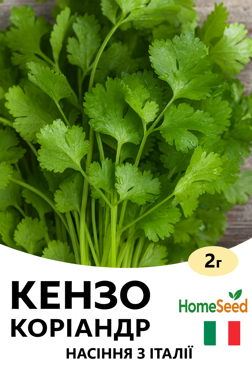 Copilot_20260215_125918