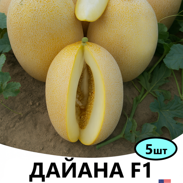 Диня Дайана F1 INNOVA SEEDS
