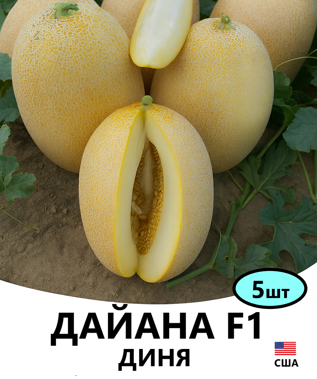 ДАЙАНА5