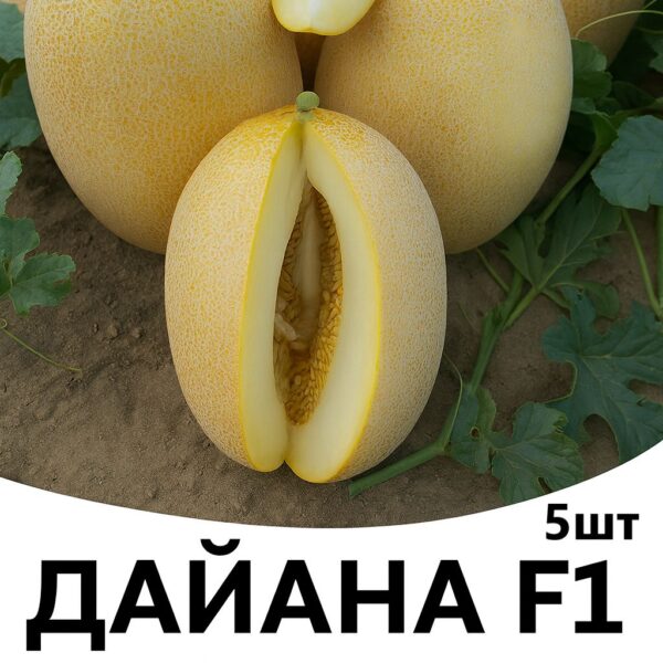 Диня Дайана F1 INNOVA SEEDS