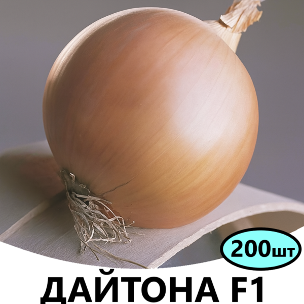 Цибуля Дайтона F1 Bejo – 200шт
