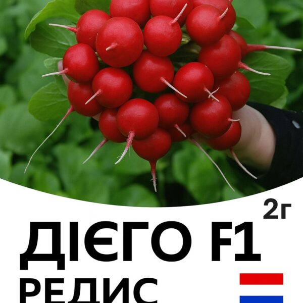 Редис Дієго F1 Hazera