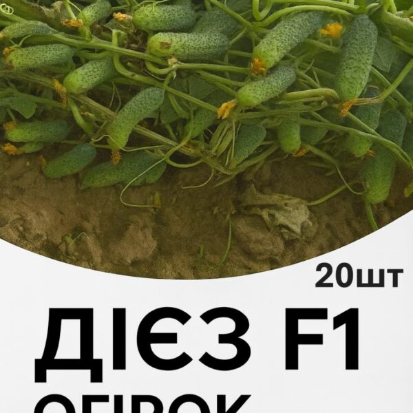 Огірок Дієз F1 Rijk Zwaan