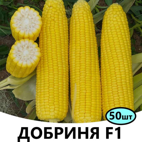 Кукурудза Добриня F1 Spark Seeds – 50шт