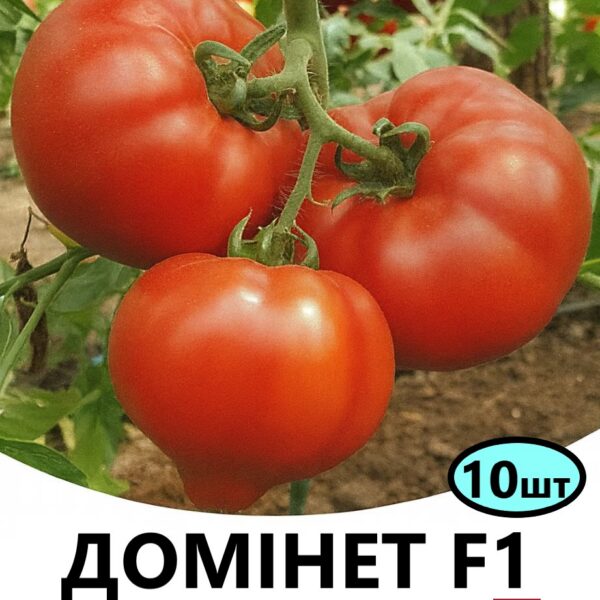 Томат Домінет F1 Syngenta – 10шт