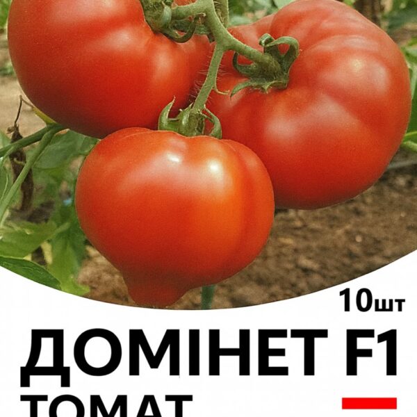 Томат Домінет F1 Syngenta