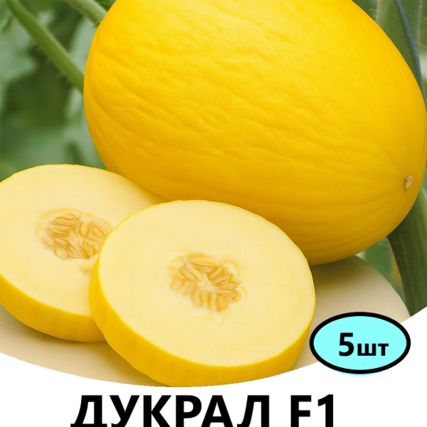 Диня Дукрал F1 Rijk Zwaan – 5шт