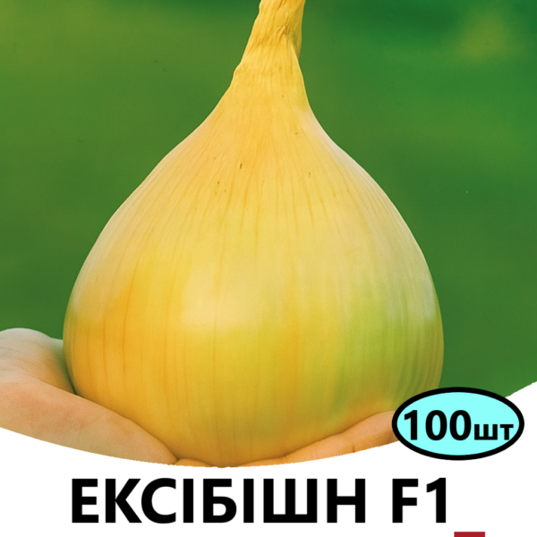 Цибуля Ексібішн F1 Bejo – 100шт