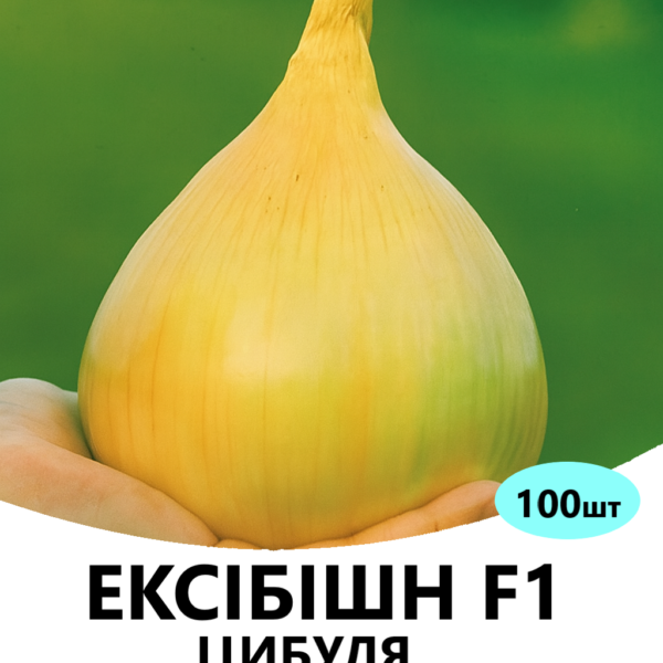 Цибуля Ексібішин F1 Bejo – 100шт