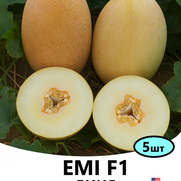 Диня Емі F1 INNOVA SEEDS