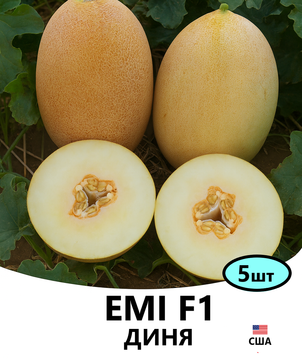 ЕМІ 5