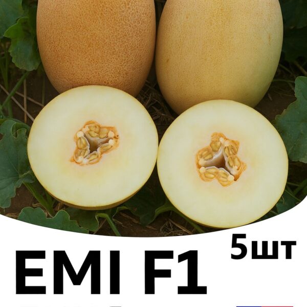 Диня Емі F1 INNOVA SEEDS