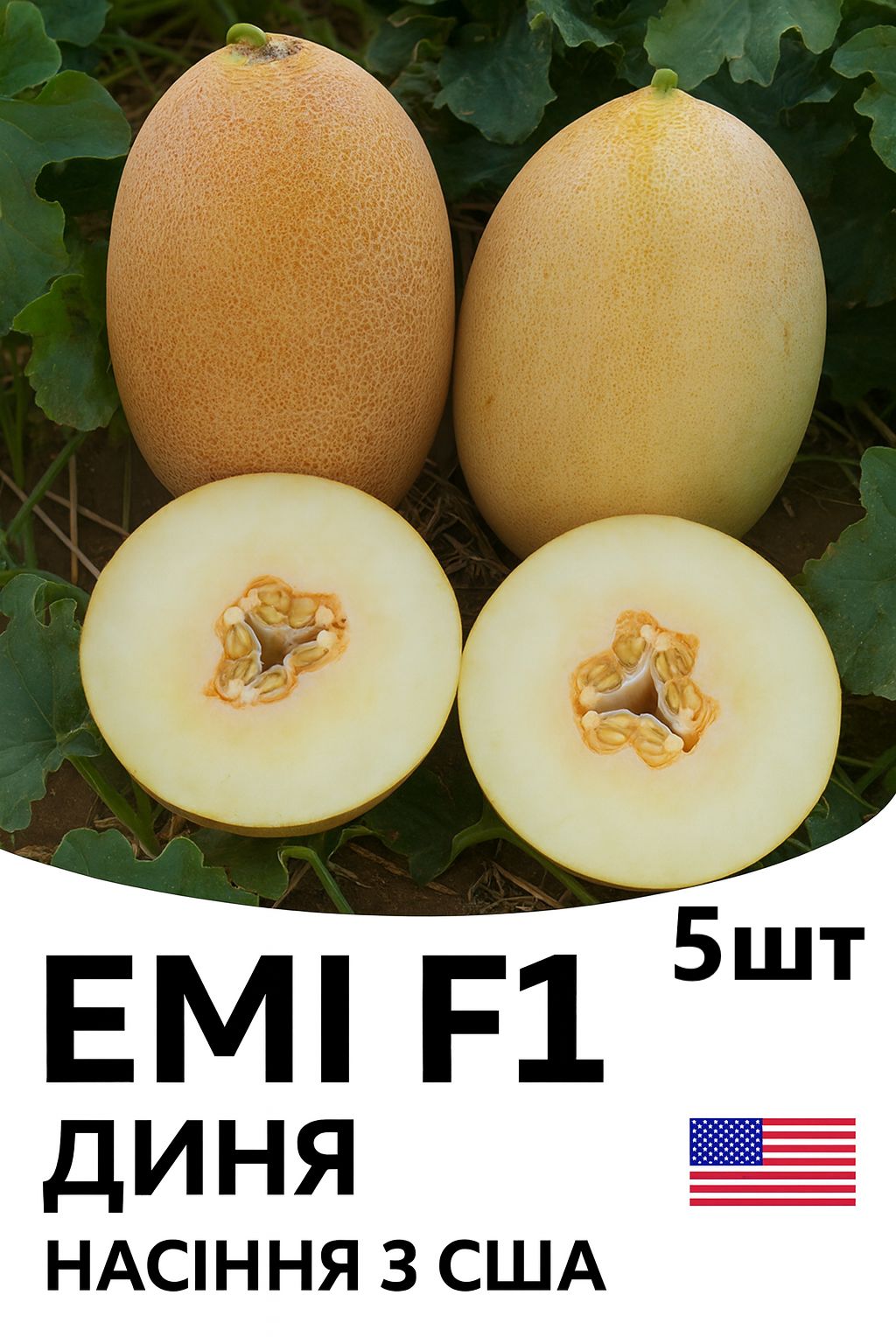 emi_5