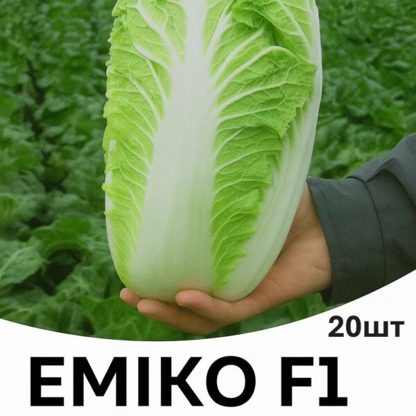 Капуста пекінська Еміко F1 Bejo