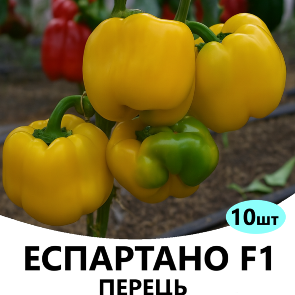 Перець Еспартано F1 SAKATA