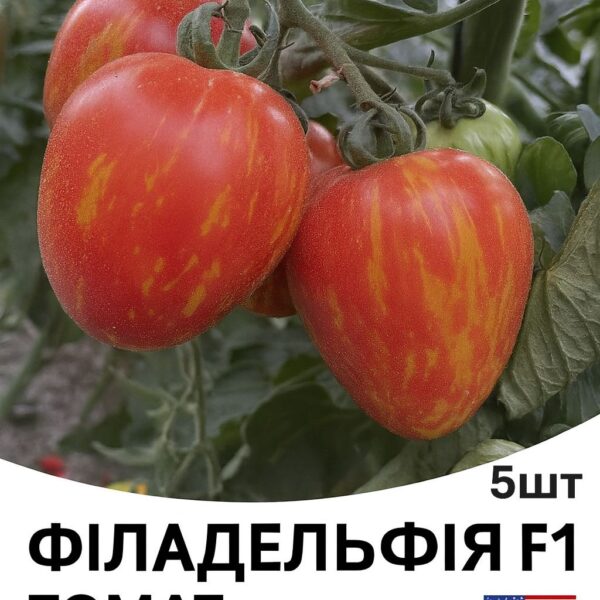 Томат Філадельфія F1 Spark Seeds