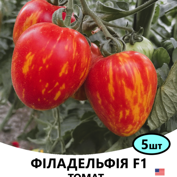 Томат Філадельфія F1 Spark Seeds – 5шт